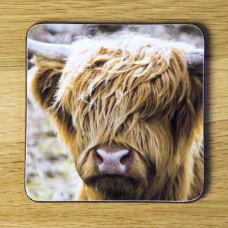 Highland Cow "Frings" Coaster dc0001-3313