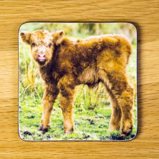 Highland Cattle Calf Coaster "Skinny" dc0005-3304