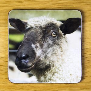 Mad Sheep Coaster dc0010-3305