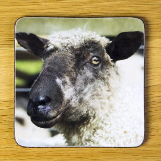 Mad Sheep Coaster dc0010-3305