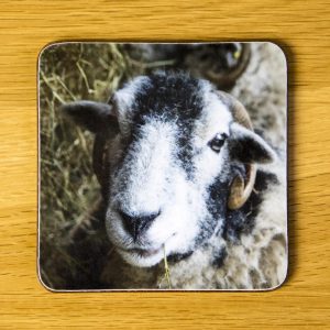 "Om Nom" Sheep Coaster dc0011-3311