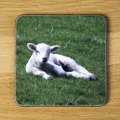 Reclining Lamb Coaster dc0012-3302