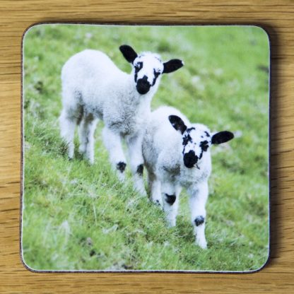 Two Lambs Coaster dc0016-3312