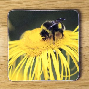 Bee on a Yellow Flower Coaster dc0017-3318