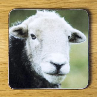 Herdwick Sheep Coaster "Ian" dc0019-3315