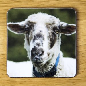 Sheep Coaster "Pumpkin" dc0020-3323