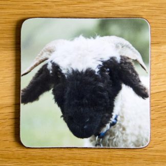 Vallais Black Nose Sheep "Little George" Coaster dc0021-3296