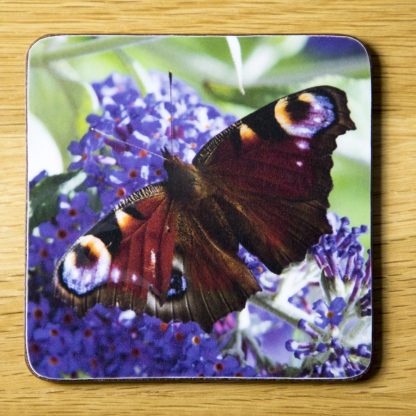 Peacock Butterfly on Buddleia Coaster dc0022-3327