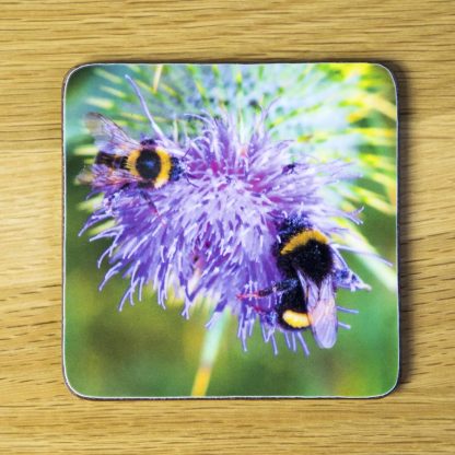 Two Bees on a Thistle Coaster dc0028-3316