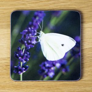 White Butterfly on Lavender Coaster dc0029-3317