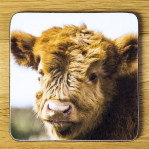 Highland Cattle Calf "Bubbles" Coaster dc008-3308