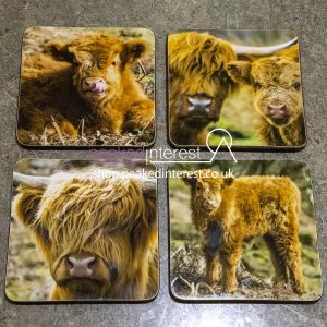 Highland Cow Coaster Set